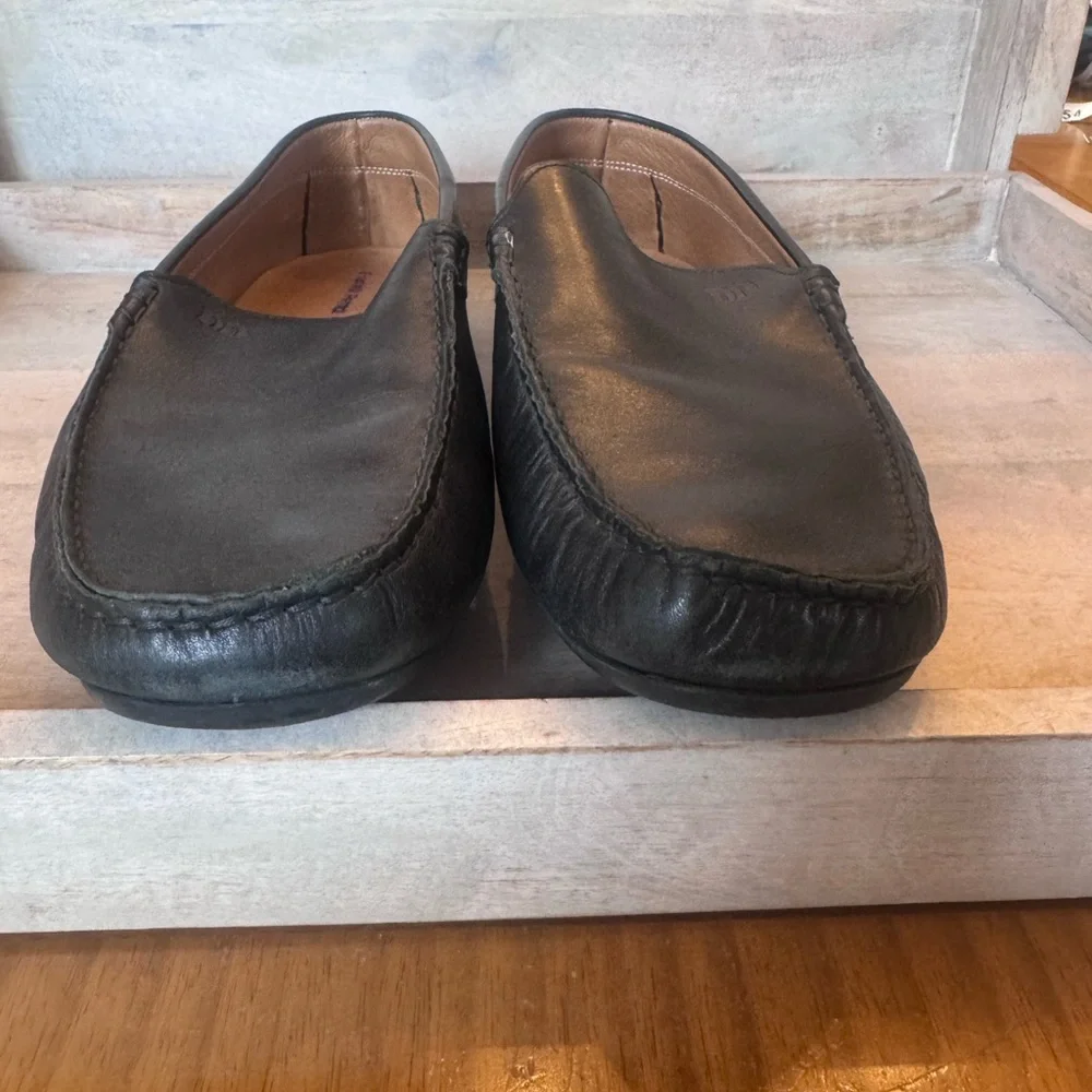 fratelli petridi fratelli petridi